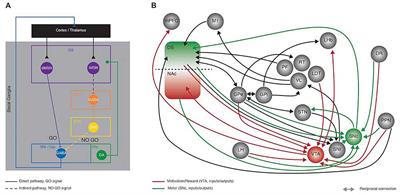Dopamine and Acetylcholine, a Circuit Point of View in Parkinson’s Disease